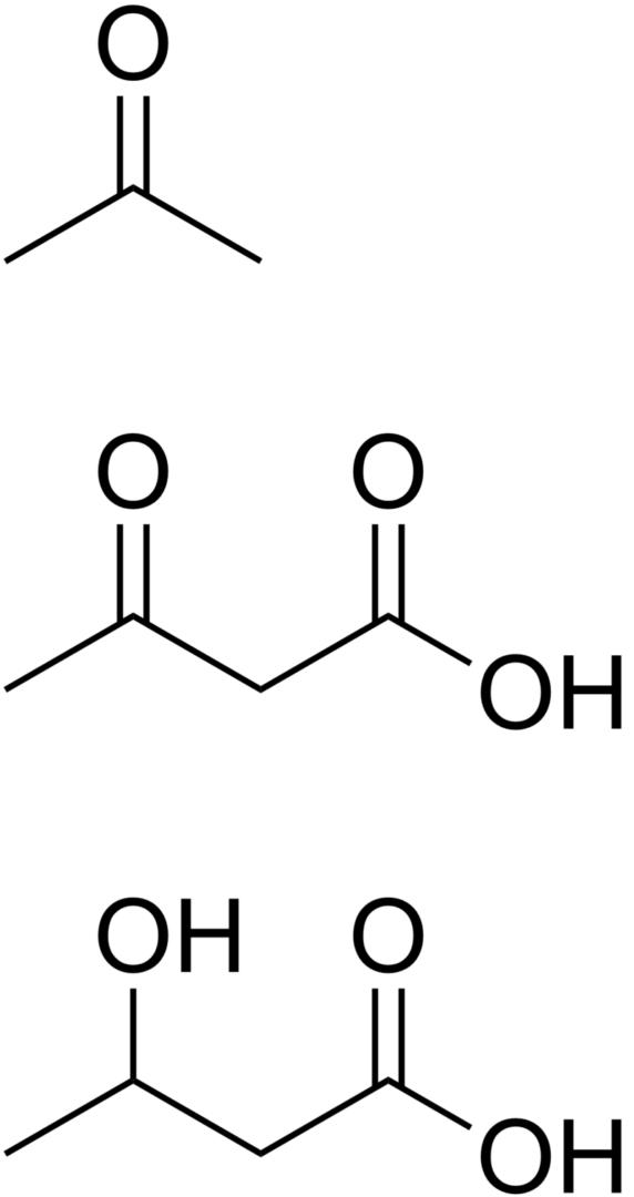 Ketolátky sú kyseliny vznikajúce z mastných kyselín po rozpade tuku